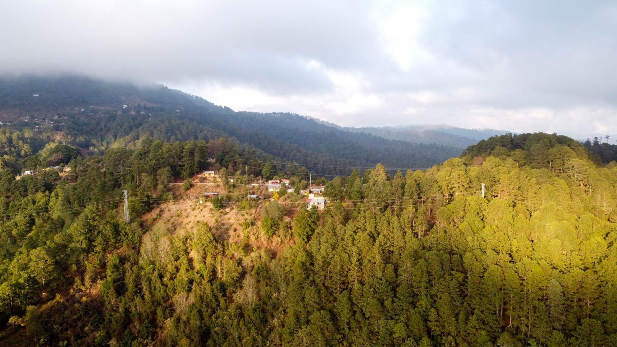 San Jose Del Pacifico- Cabanas Camino Al Cielo 2 Eksteriør bilde