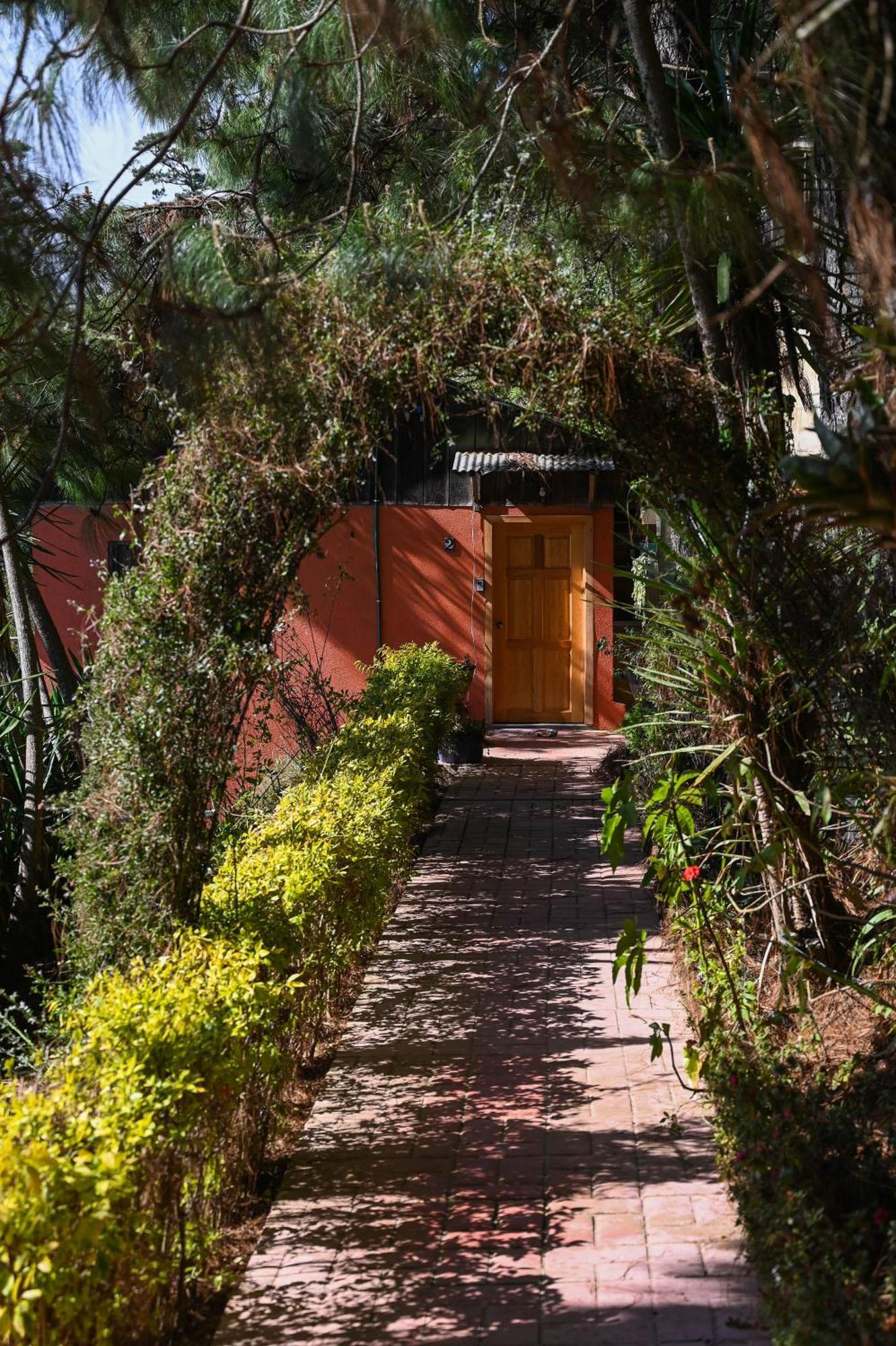 San Jose Del Pacifico- Cabanas Camino Al Cielo 2 Eksteriør bilde